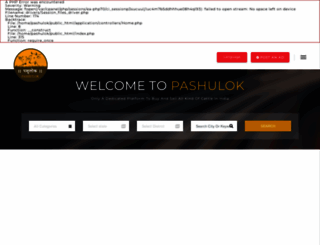 pashulok.com screenshot