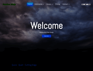 passiveninja.com screenshot