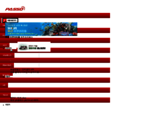 passo.co.kr screenshot