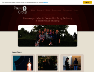 paulussegroup.com screenshot