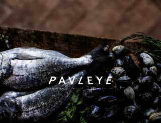 pavleye.com screenshot
