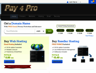 pay4products.com screenshot