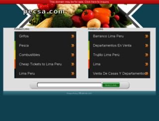 pecsa.com screenshot