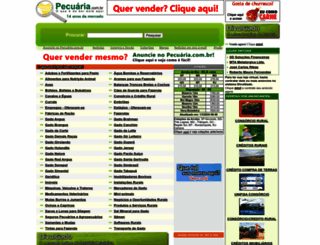 pecuaria.com.br screenshot