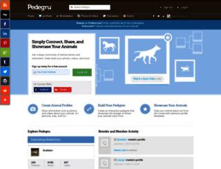 pedegru.com screenshot