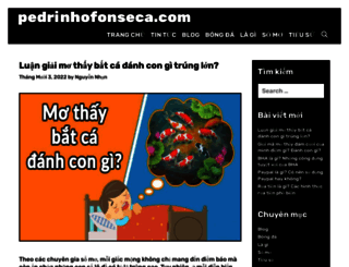 pedrinhofonseca.com screenshot