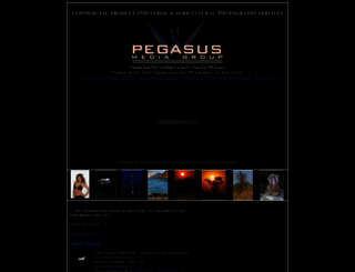 pegasusmedia.com screenshot