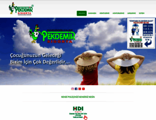 pekdemirsigorta.com.tr screenshot