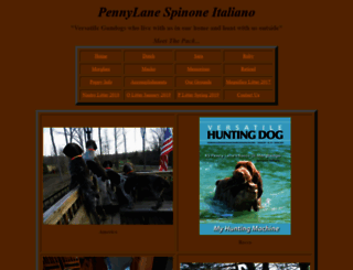 pennylanespinone.com screenshot