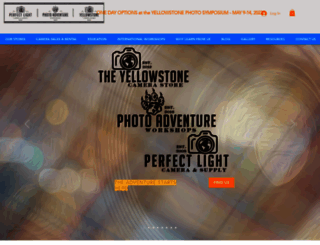 perfectlightstore.com screenshot