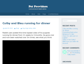 pet-providers.co.uk screenshot