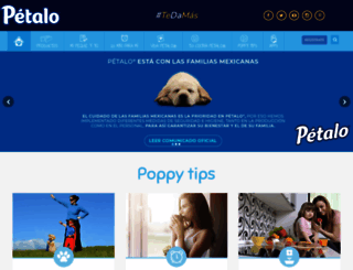petalo.com.mx screenshot