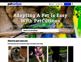 petcurious.com screenshot
