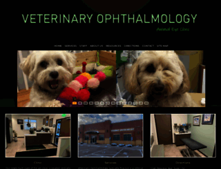 peteyeclinic.com screenshot