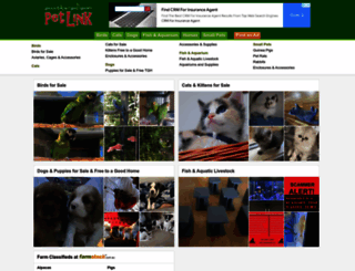 petlink.com.au screenshot