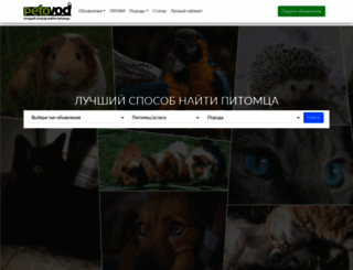 petovod.ru screenshot