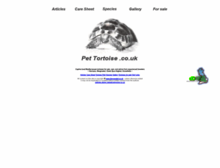 pettortoise.co.uk screenshot