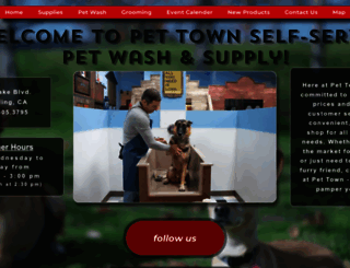 pettownwash.com screenshot