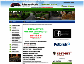 pflasterprofis.pl screenshot