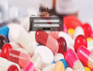pharmabridge.biz screenshot