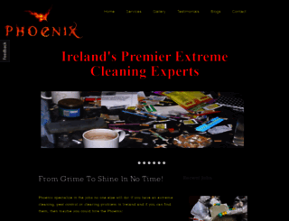 phoenix-extreme-cleaning-ireland.ie screenshot