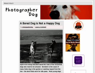 photographerdog.com screenshot