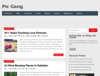 picgang.com screenshot