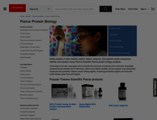 piercenet.com screenshot