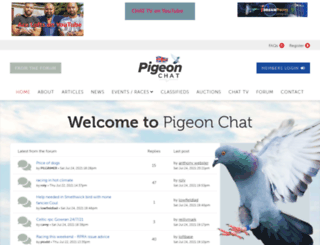 pigeon-chat.co.uk screenshot