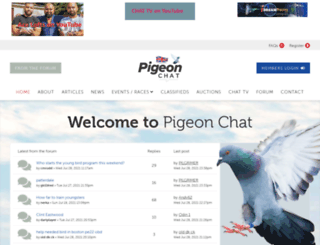 pigeon-chat.com screenshot