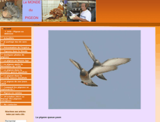 pigeonrun.fr screenshot