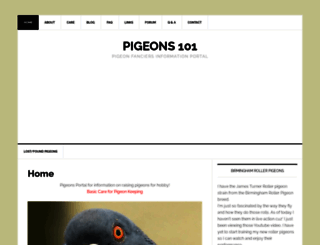 pigeons101.com screenshot
