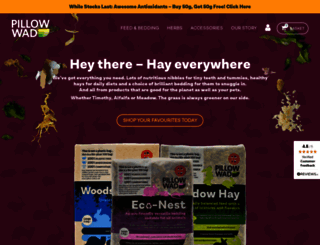 pillow-wad.co.uk screenshot