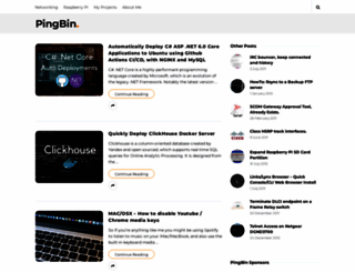 pingbin.com screenshot