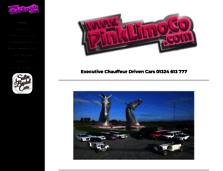 pinklimoco.com screenshot
