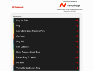 pinpug.com screenshot