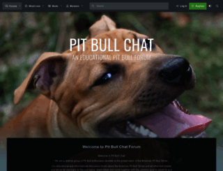 pitbull-chat.com screenshot
