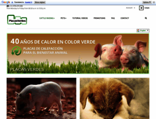 placasverdes.com screenshot