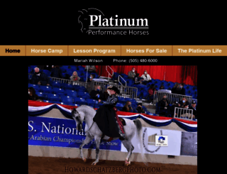 platinumhorses.com screenshot