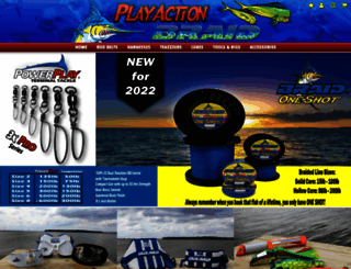 playactionbraid.com screenshot