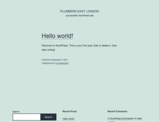 plumbers-east-london.com screenshot