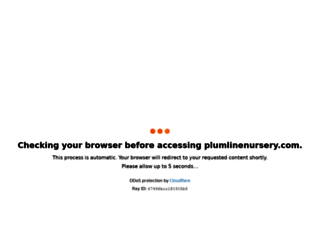 plumlinenursery.com screenshot