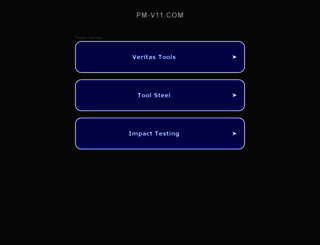 pm-v11.com screenshot
