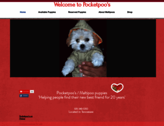 pocketpoos.com screenshot