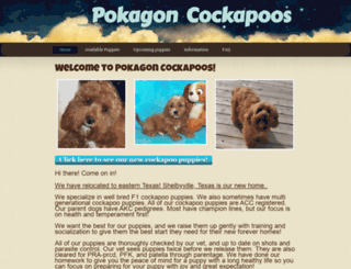 pokagoncockapoos.com screenshot