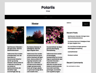 polaris-group.net screenshot