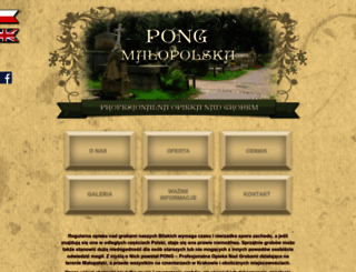pong-malopolska.pl screenshot