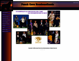 pouchcovenewfs.com screenshot