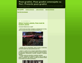 poze-gradini.blogspot.com screenshot
