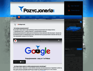 pozycjoneria.com screenshot